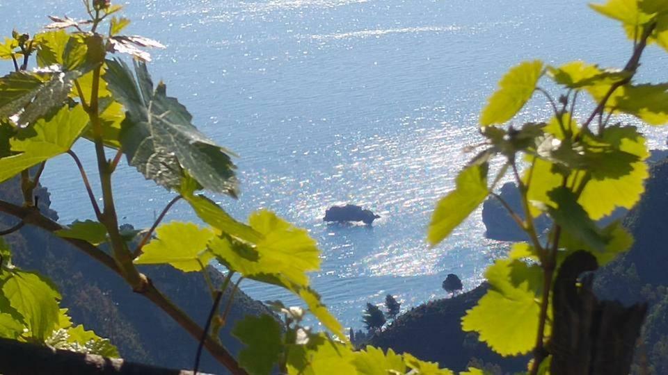 Casa Il Faro Villa Con Piscina Castelmola Zewnętrze zdjęcie